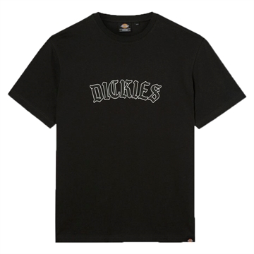 Dickies T-shirt Union Springs s/s Black